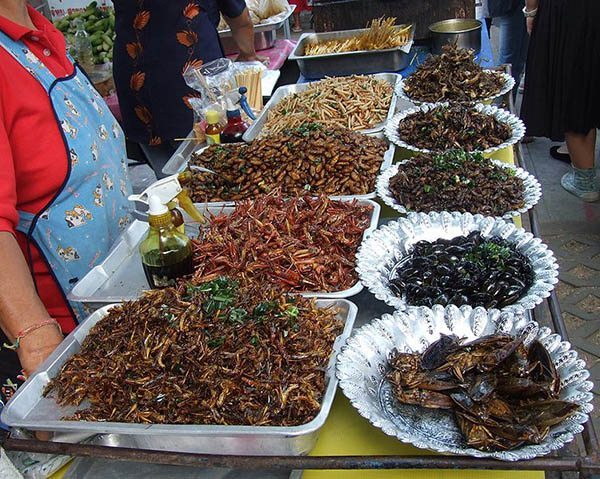 try eating bugs for your first time in Bangkok